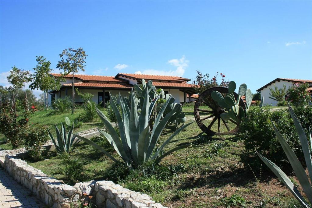 Agriturismo Ninea Ricadi Exterior foto